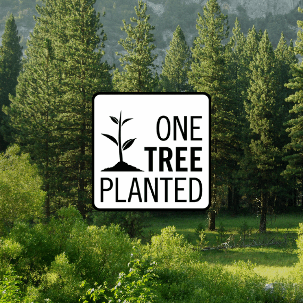 Donation of a Tree - EarthEnvi