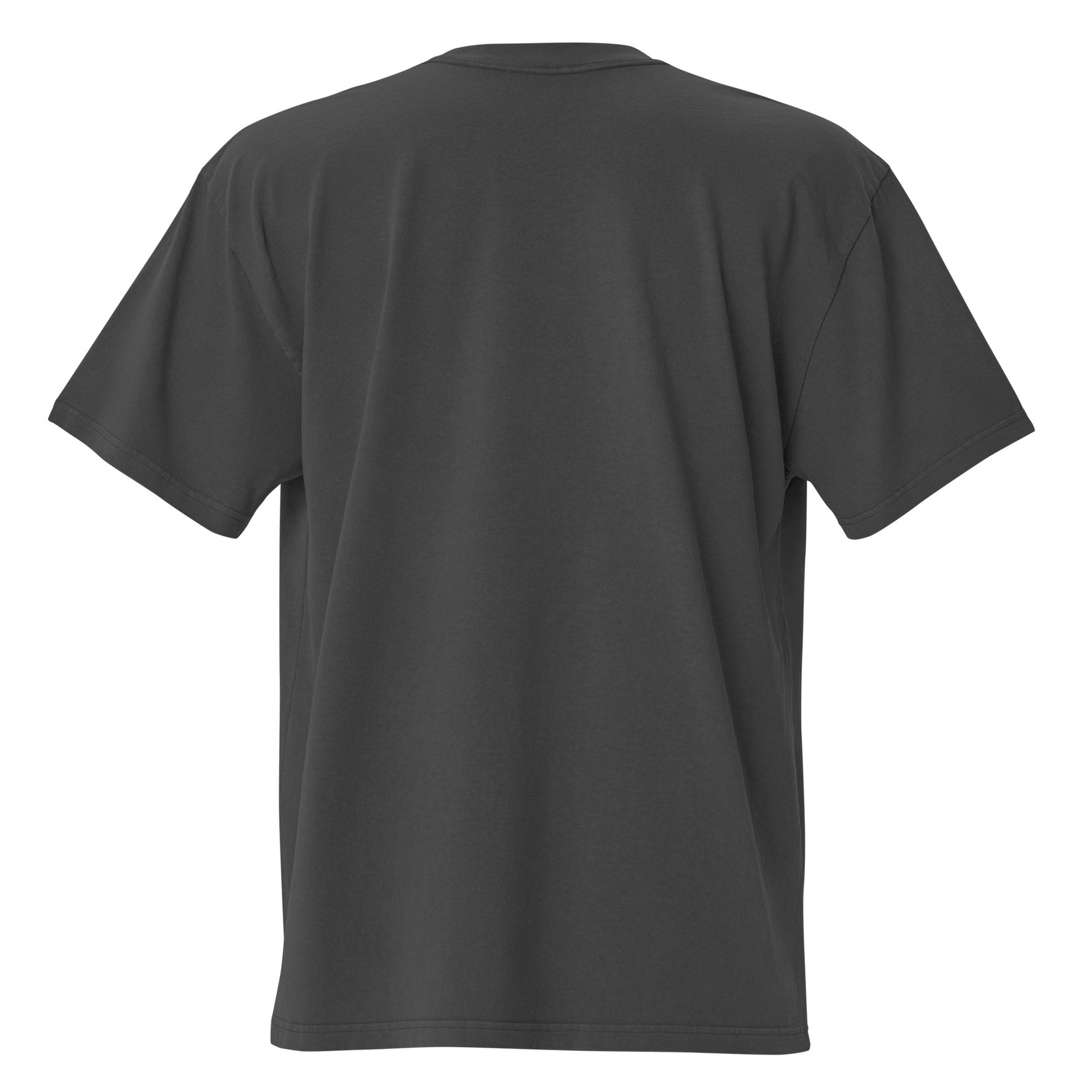 EarthEnvi EarthEnvi Eco Oversized Tee